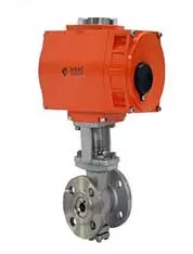 SS Cử lý điện chống nổ DN50 Cử lý van quả cầu nổi 0