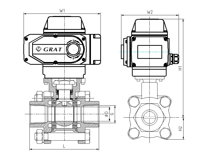 Kết nối dây thép không gỉ điện thẳng qua loại van mini 1