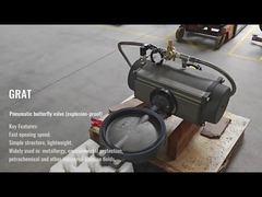 Van bướm khí nén (chống nổ)