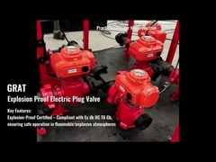 Động cơ điện chống nổ-1